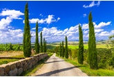 Vakantie Toscane in 8 tips