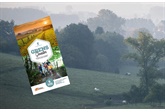 Wandelen op de taalgrens