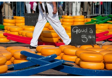Gouda, van kaas tot curiosa