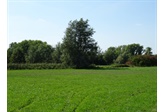 Latemse Meersen, nieuw natuurgebied