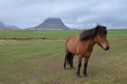 Autoroute IJsland - Dag 9