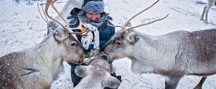 Lapland in een lang weekend