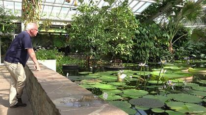 Plantentuin Meise heropent paviljoen