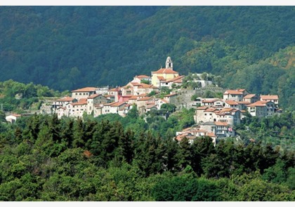 Toscane, 8 dagen in 3* hotel half pension va. € 625 pp