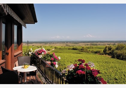 Elzas wijnroute 4 dagen hotel 3* incl. half pension va. € 215 pp