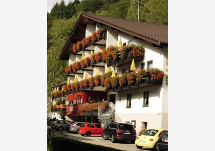 Zwarte Woud 3 dagen in hotel **** va. € 240 pp