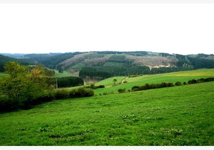 vakantie Ardennen