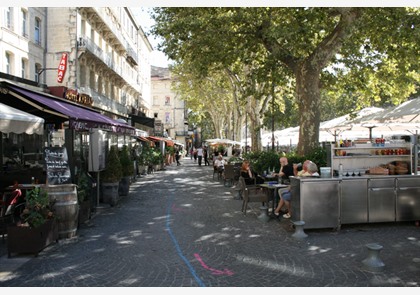 citytrip Avignon