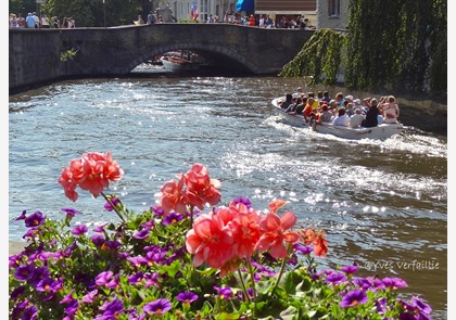 vakantie België