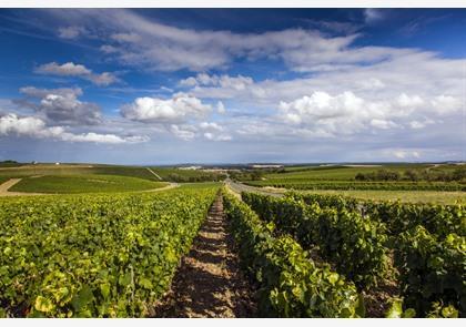 vakantie Bourgogne