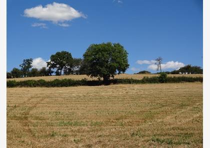 vakantie Bourgogne