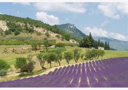 vakantie Drôme Provençale