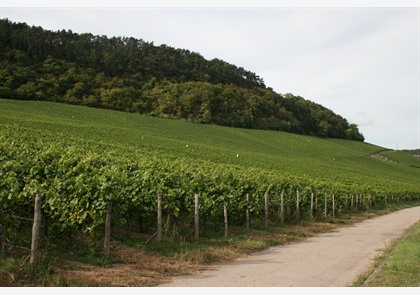 vakantie Groothertogdom Luxemburg