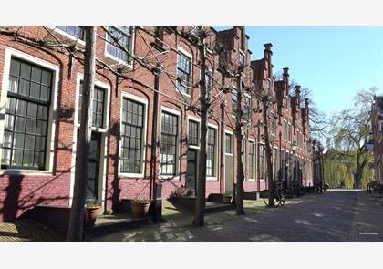 citytrip Haarlem