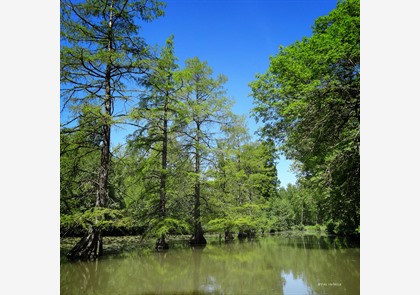 vakantie Loirevallei