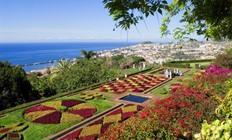 Madeira verkennen in alle windstreken