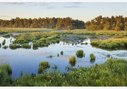 vakantie Noord-Brabant