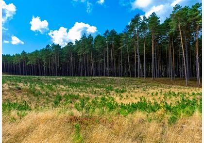 vakantie Polen