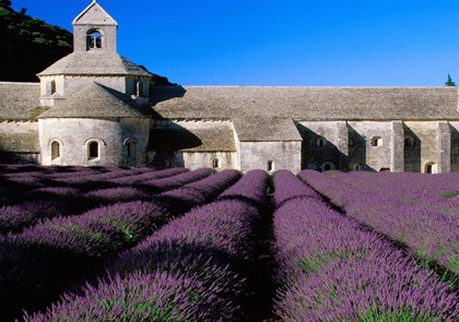 vakantie Provence