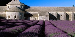 Provence