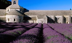 Genieten tijdens een vakantie in Provence