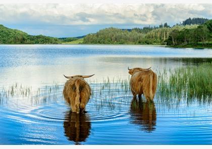 vakantie Schotland