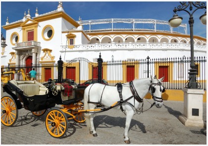 citytrip Sevilla