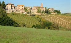 Vakantie Toscane: betoverende mix van cultuur en natuur