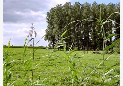 vakantie Vlaamse Ardennen