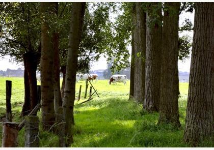 vakantie Vlaamse Ardennen