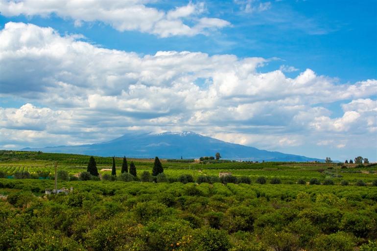 Landbouw rondom Etna