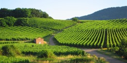 Route du Vin & Ballon