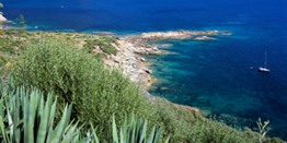 Reisgids Corsica