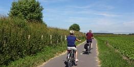 Fietsroutes (5) Zeeland