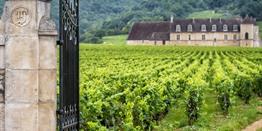 Reisgids Bourgogne
