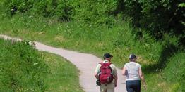 Wandelgids Vlaanderen deel 1