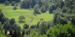 Col du Bonhomme