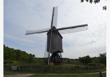 Hageland: ontdek de beeldenstad Aarschot