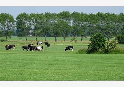 Achtkastelenroute: fietsen in de Achterhoek