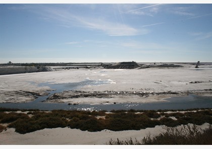 Bezichtig het prachtige Aigues-Mortes in Camargue 