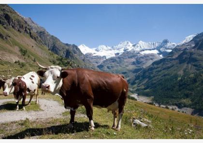 Aostavallei: van west naar oost