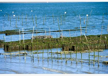 Gironde: Arcachon, geen gewoon vissersstadje