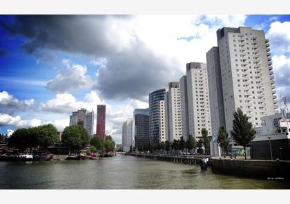 Architectuurwandeling laat je modern Rotterdam zien