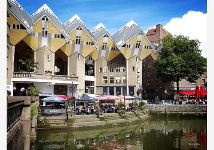 Architectuurwandeling laat je modern Rotterdam zien