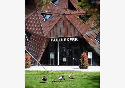 Architectuurwandeling laat je modern Rotterdam zien