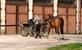 Orne: Argentan, kant en paarden als bezienswaardigheden