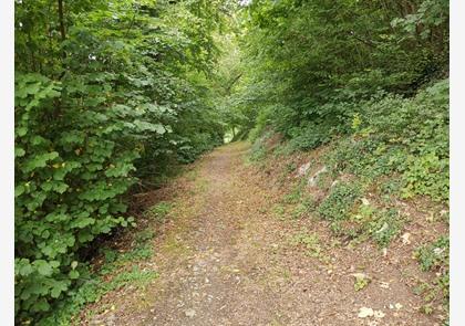 Sauerland: stadswandeling Attendorn