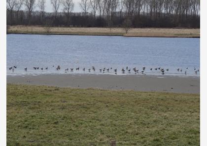 Meetjesland: met de wagen 'op stap'