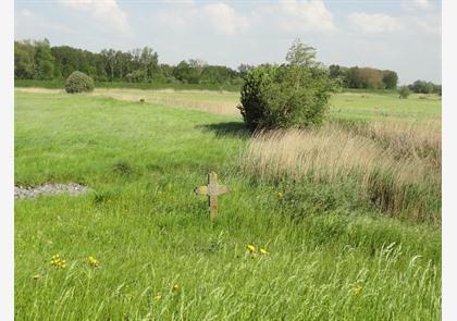 Donkmeer, trekpleister van Berlare