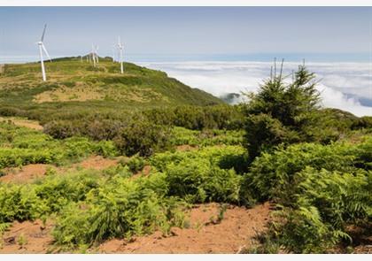 Andere bezienswaardigheden en typisch Madeira